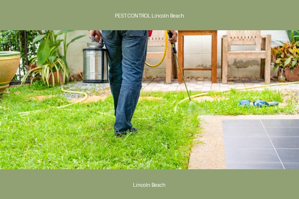PEST CONTROL Lincoln Beach